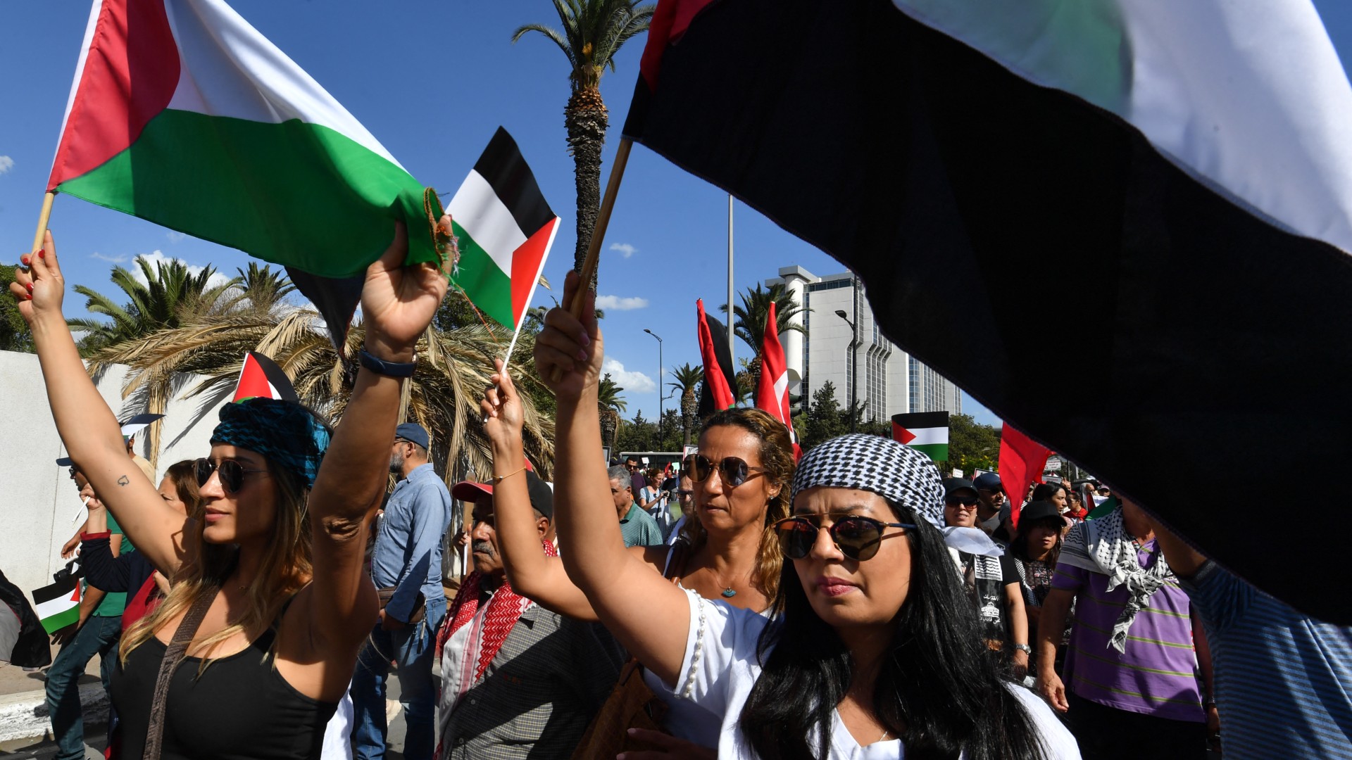 In the cradle of Tunisia's revolution, anger gave way to apathy. Then Gaza happened